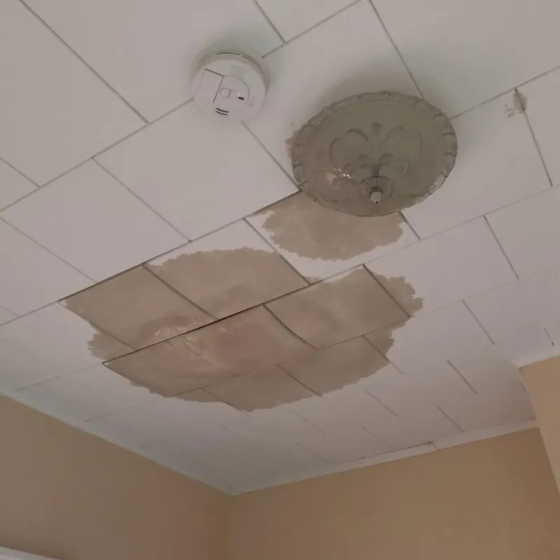 Ceiling Water Damage Repair in Onset, MA